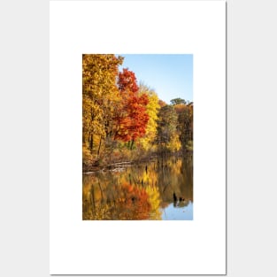 Autumn Glow in Moraine State Park of Pennsylvania Posters and Art